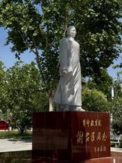 说明: 序号93_杨芷馨_作品图片_IMG_5308